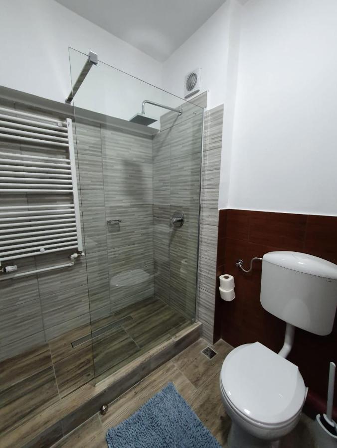 Petrosani Camere De Inchiriat - Hotel Petroshani Srl 外观 照片