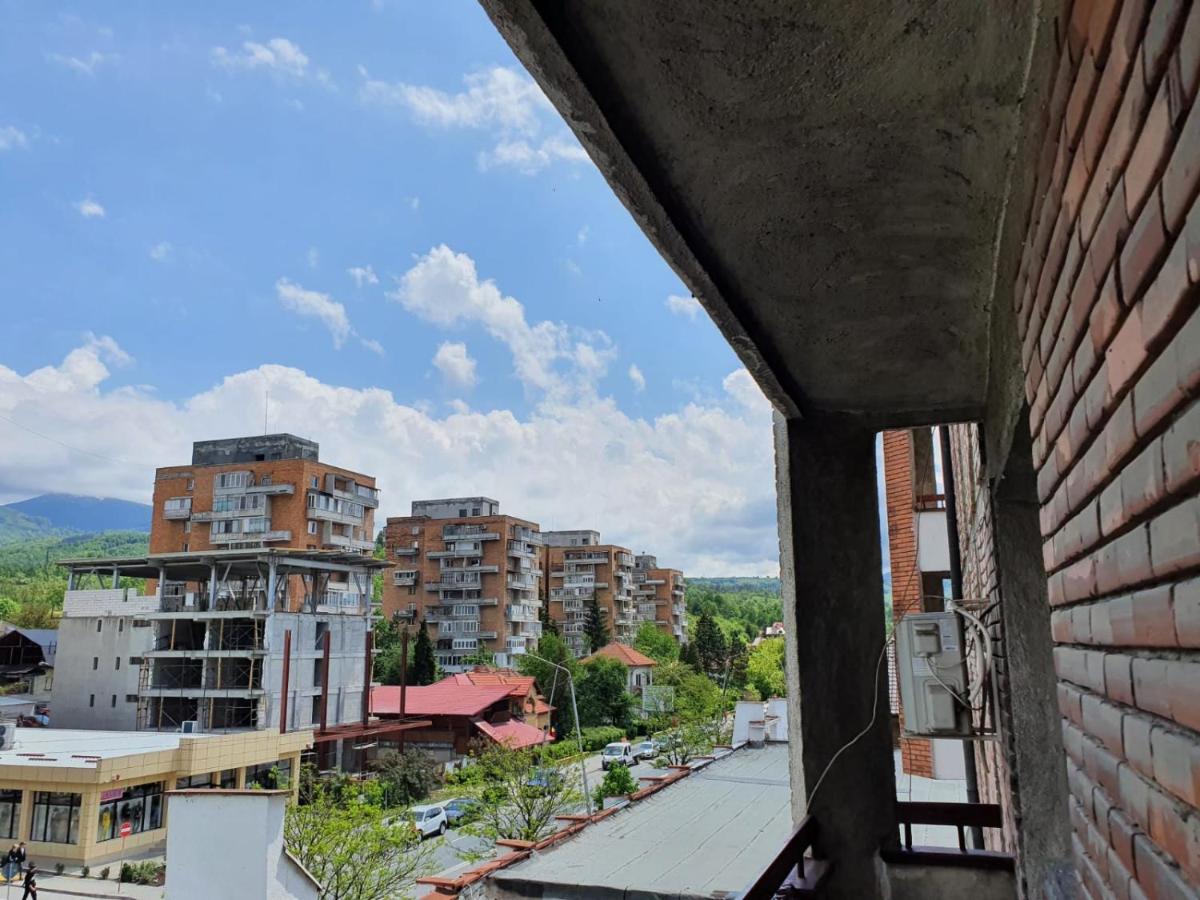 Petrosani Camere De Inchiriat - Hotel Petroshani Srl 外观 照片
